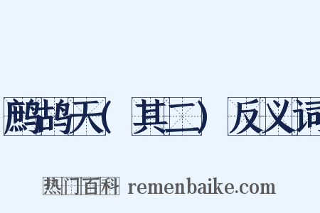 鹧鸪天(其二)反义词是什么意思的图片